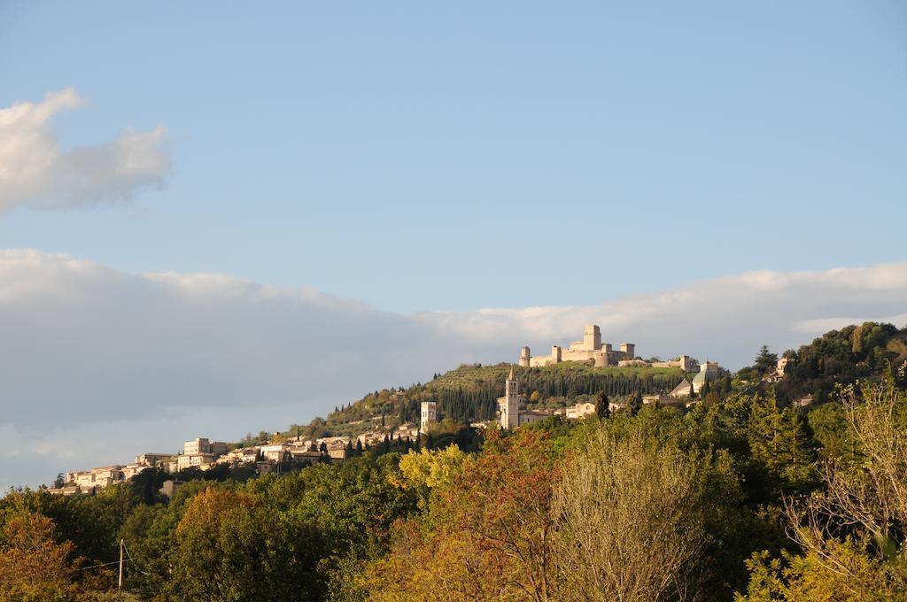 Villa Rosy Assisi Eksteriør billede