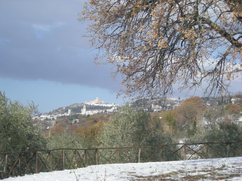 Villa Rosy Assisi Eksteriør billede